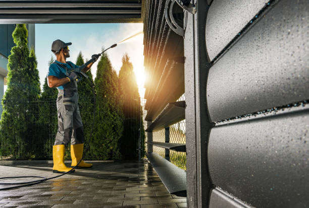 Best House Exterior Washing  in Lmar, DE